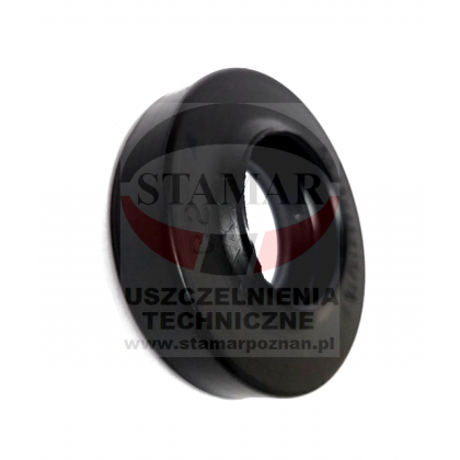 simering 22x43x10/11,5