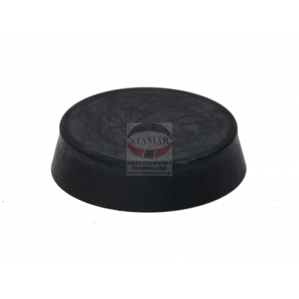 uszczelka tłoczka hamulcowego tłoczek 31x8 EPDM pełen