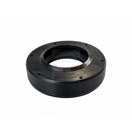 simering 30x52x11/12,5 CANDY GIAS ZEROWATT